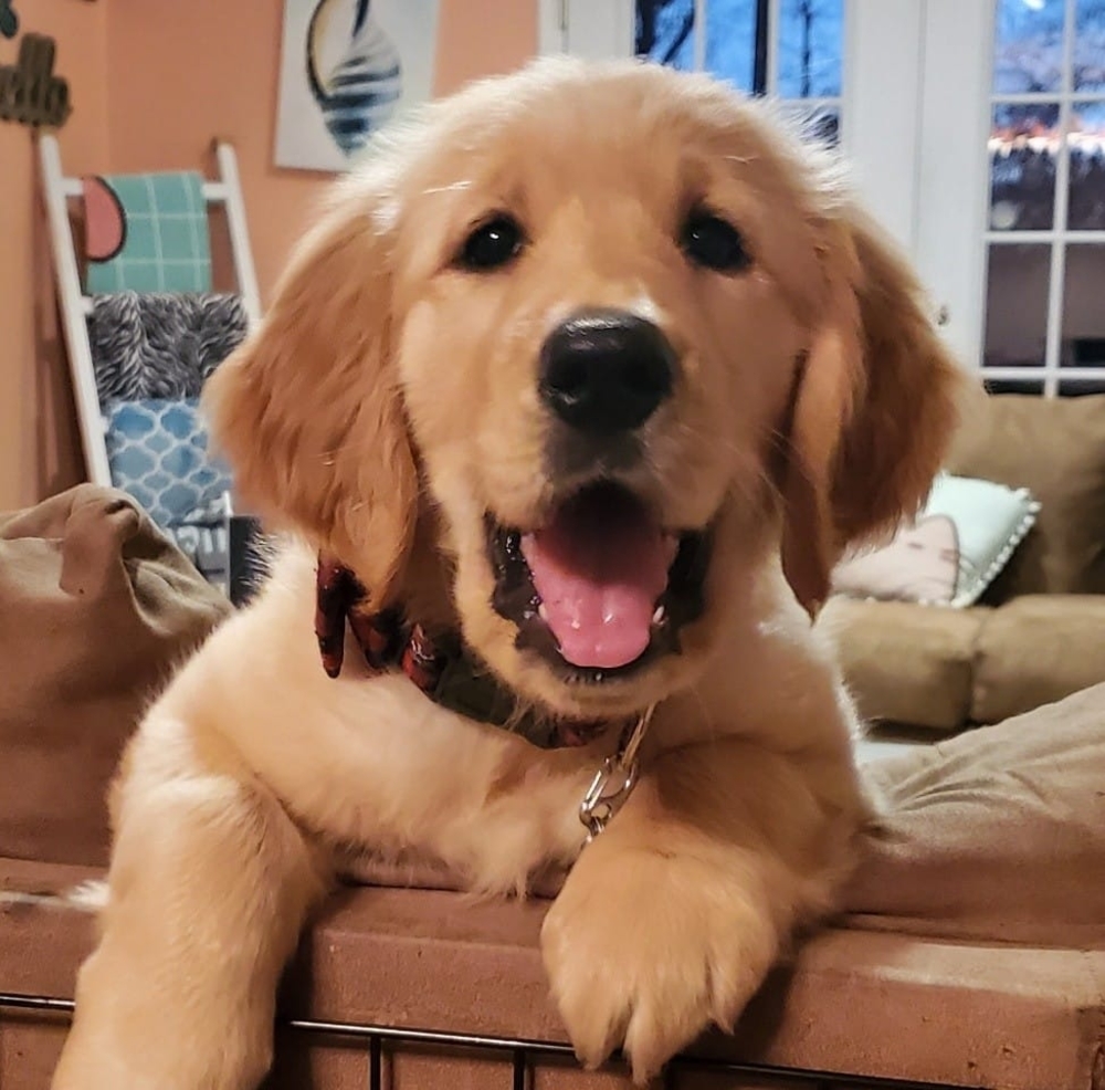 Meet your Posher, Andrea